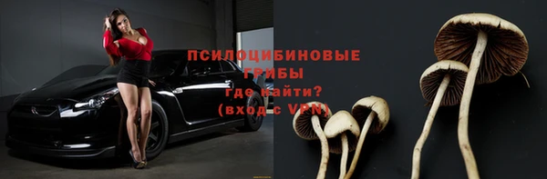 СК Алзамай