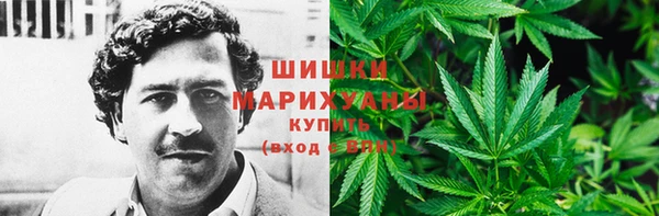 PSILOCYBIN Алексин